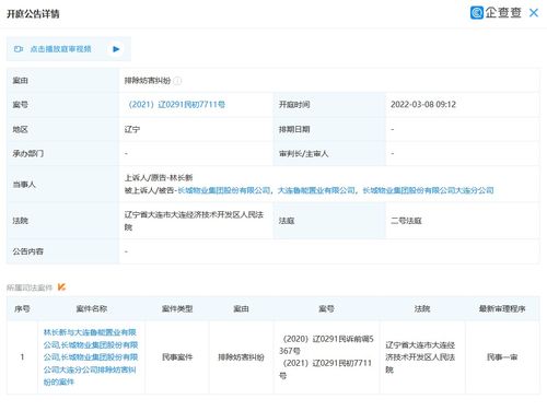 大連魯能置業(yè)新增開庭公告 案由為排除妨害糾紛引發(fā)關(guān)注