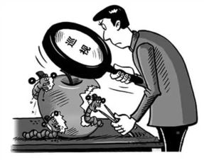 巡視利劍下的沉渣 再議干擾巡視與弄虛作假之源